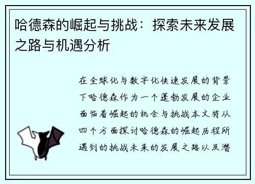 哈德森的崛起与挑战：探索未来发展之路与机遇分析